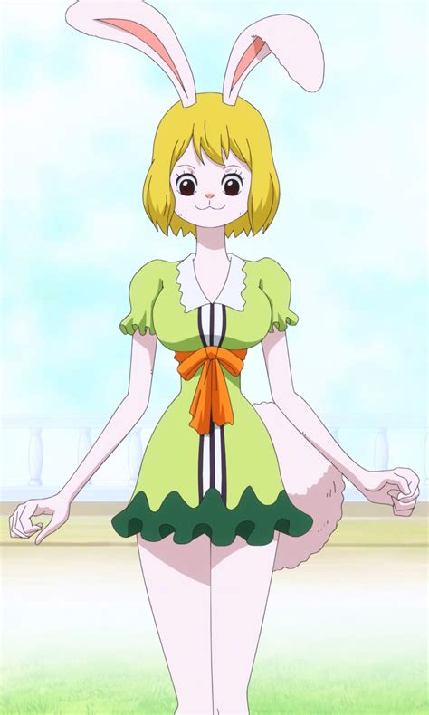 carrot hentai|Character: Carrot (One Piece) 